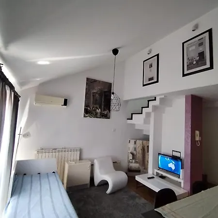 Matine Zvezdara * Belgrad