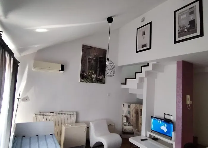 Matine Zvezdara * Belgrade